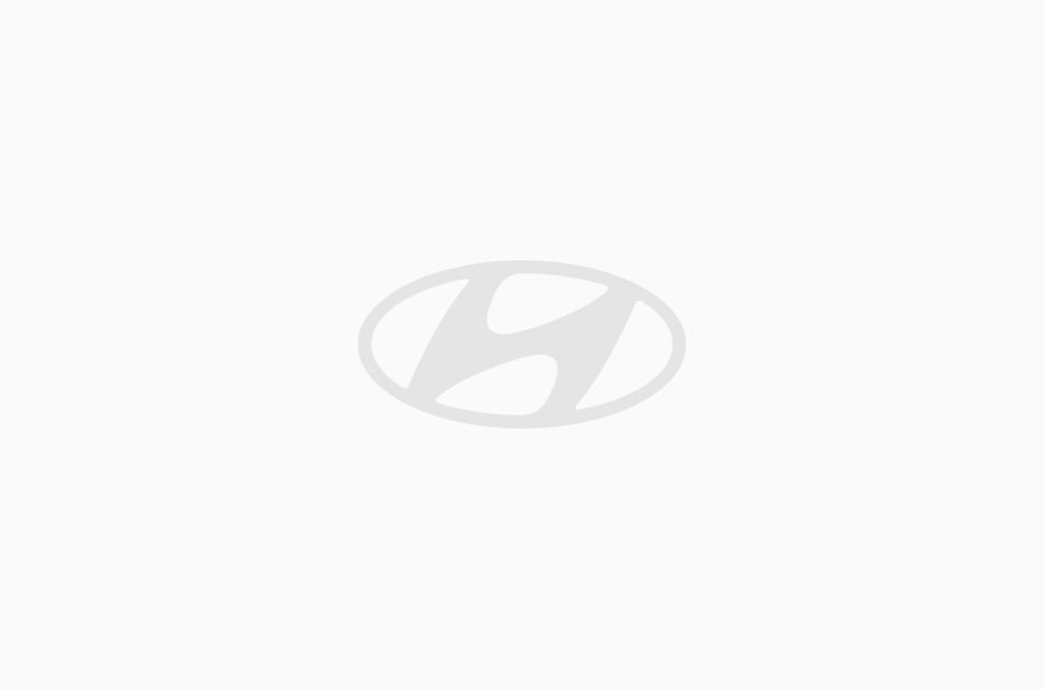 Kofferraumauskleidung